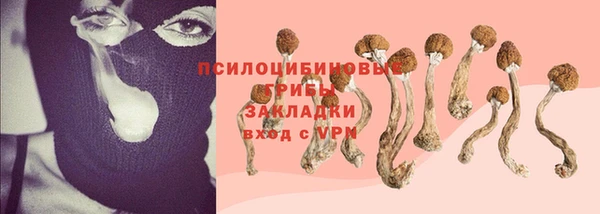 mix Надым