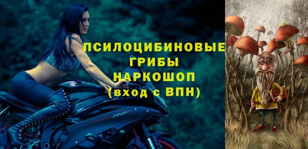 ПСИЛОЦИБИНОВЫЕ ГРИБЫ Алзамай