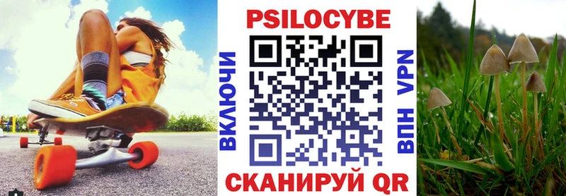 кракен сайт  Староминская  Псилоцибиновые грибы GOLDEN TEACHER 